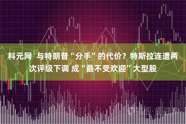 科元网  与特朗普“分手”的代价？特斯拉连遭两次评级下调 成“最不受欢迎”大型股