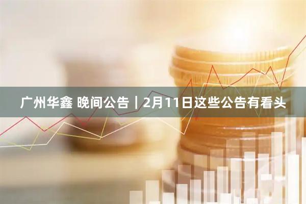 广州华鑫 晚间公告｜2月11日这些公告有看头