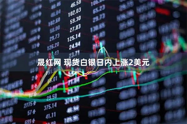 晟红网 现货白银日内上涨2美元