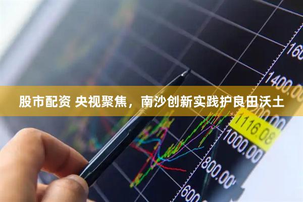 股市配资 央视聚焦，南沙创新实践护良田沃土
